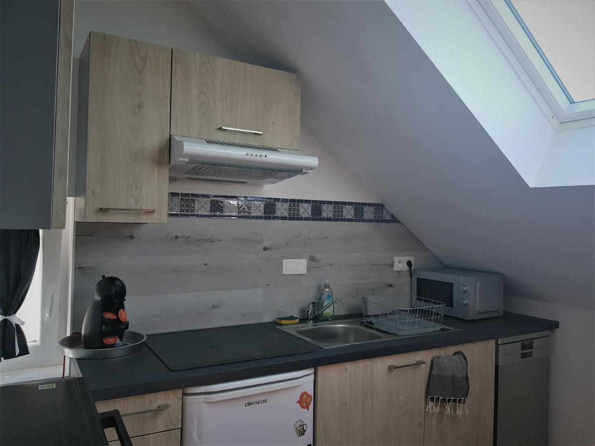Apartamento Au Gré de L'Ill Les toits d'Horbourg Exterior foto