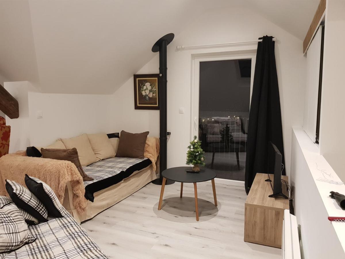Apartamento Au Gré de L'Ill Les toits d'Horbourg Exterior foto