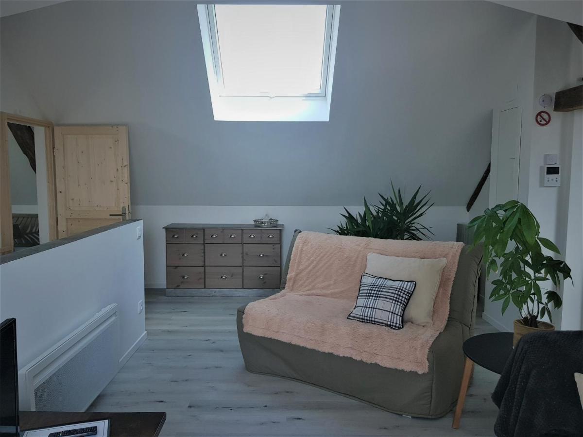 Apartamento Au Gré de L'Ill Les toits d'Horbourg Exterior foto